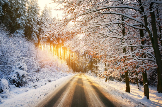 1700467179158096294.png image.png